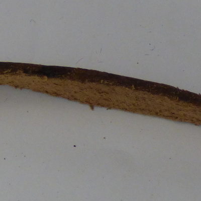 P1020796